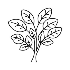 herb plant icon, herb plant vector illustration-simple illustration of herb plant, perfect for herb plant logos and icons