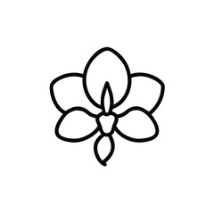 Minimalist Orchid Flower Line Art Illustration For Botanical Design And Creative Projects Simple And Elegant Floral Design