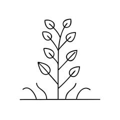 minimalist plant icon, minimalist plant vector illustration-simple illustration of minimalist plant, perfect for minimalist plant logos and icons