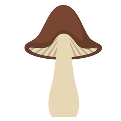 Simple Mushroom Illustration