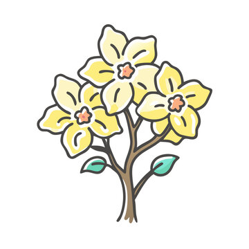 yellow flowers on brown stem clip art preview