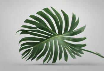 file png tree green leaf background palm transparent decor exotic garden decorative frame fresh growth flowering floral isolated environment forest clipping branch closeup climbing cut-out path bunch