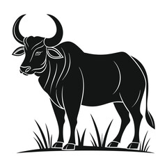 Big Ox Profile Indian Black Silhouette Livestock Illustration