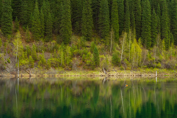 lake kaindy with cold icy water. mountain lake in kazakhstan