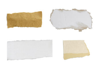 Torn piece of paper on transparent background png file