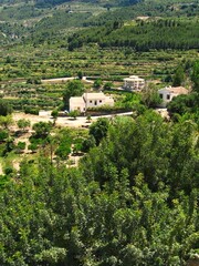 Rural landscape with houses and trees. Houses in hilly green area. Countryside view with buildings and vegetation. Residential houses amidst lush greenery. Landscape of homes and natural environment