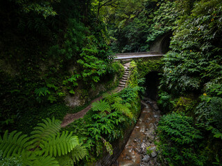 Path leading through the lush green rainforest towards the road and a tunnel. Wet atmosphere of Sao Miguel Island, Azores, Portugal.