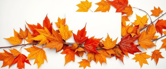 Blank white card nestled amongst dried autumn leaves on a white background, backdrop,  photography