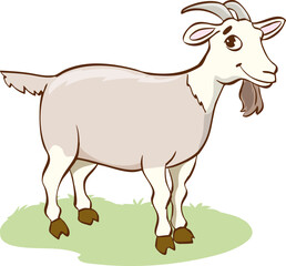 goat on white background
