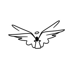 Angels wings pattern  illustration on white background 