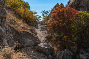 Coastal scene with clear blue water gently lapping against rugged rocks. Rocky coast of Black Sea. Cape Alchak. Sun casts warm glow, highlighting textures of stones and tranquil sea. Sudak, Crimea