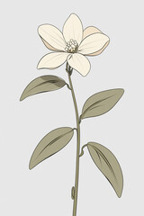 Obraz premium A 2D illustration of a jasmine flower, featuring bold lines, subtle textures, and a minimalist composition, is ideal for animation, showcasing its simplicity and elegance.