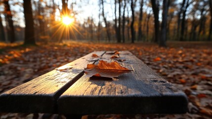 Autumn park bench bathed in golden sunlight. Fallen leaves cover the ground and rest on the weathered wooden bench.  A beautiful sunset paints the trees in warm hues