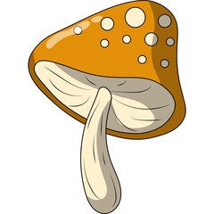  Mashroom Illustration