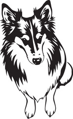 Sheltie Dog. Hand drawn vector illustration	