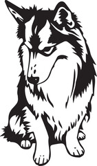 Fototapeta premium Sheltie Dog. Hand drawn vector illustration 