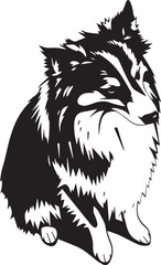 Sheltie Dog. Hand drawn vector illustration	