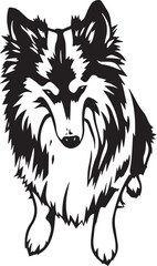 Sheltie Dog. Hand drawn vector illustration	