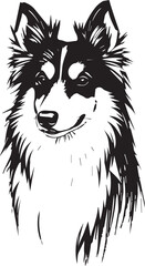 Sheltie Dog. Hand drawn vector illustration	