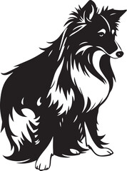 Sheltie Dog. Hand drawn vector illustration	