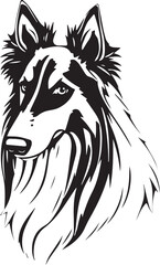 Sheltie Dog. Hand drawn vector illustration	