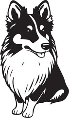 Obraz premium Sheltie Dog. Hand drawn vector illustration 