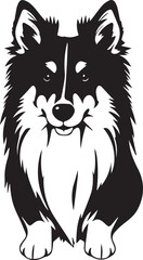 Sheltie Dog. Hand drawn vector illustration	