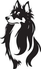 Sheltie Dog. Hand drawn vector illustration	