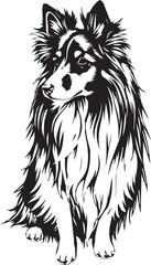 Fototapeta premium Sheltie Dog. Hand drawn vector illustration 