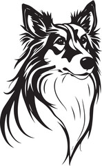 Sheltie Dog. Hand drawn vector illustration	