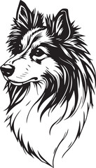 Sheltie Dog. Hand drawn vector illustration	