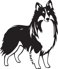 Sheltie Dog. Hand drawn vector illustration	