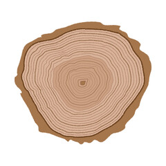 Colorful Cross-Sectional View of a Saw Cut Tree Trunk Showcasing Growth Rings and Unique Patterns in Natural Wood