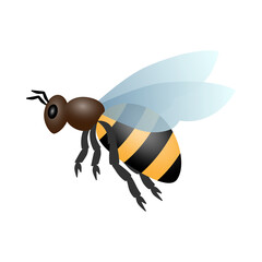 Honey bee. Color vector illustration. PNG with transparent background.	