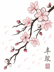 Light Pink Cherry Blossoms in Minimal Art – Japanese Spring Illustration Vector