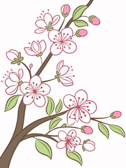 Fototapeta premium The Still Bloom Vector | Frozen Moment in Cherry Flower Time