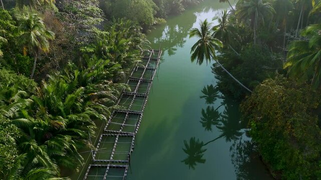 Immerse yourself in the tranquil beauty of Thailands waterways surrounded by vibrant greenery. This scenic landscape river captures the essence of natures harmony in a tropical setting.