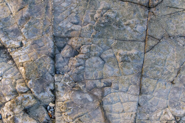 海辺の岩に刻まれた自然の模様