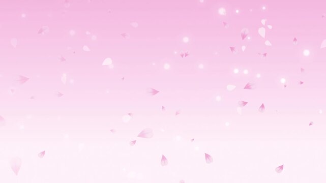 Falling sakura petal flower and bokeh on pink background