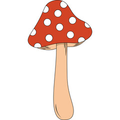 Mushroom Illustration