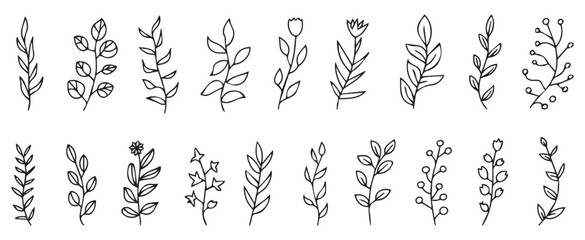 Hand Drawn Botanical Leaf Collection