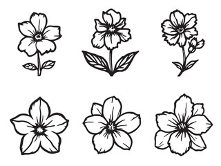 Bluebell Flower Line Art Collection