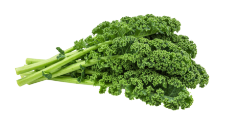 Isolated Kale