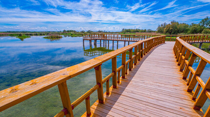 Tablas de Daimiel National Park, Daimiel, Ciudad Real, Castilla La Mancha, Spain, Europe