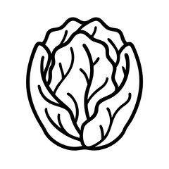 Outline vector illustration of a fresh cabbage head for healthy eating diet plan