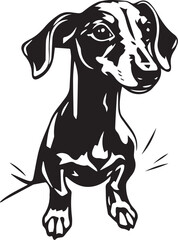 Fototapeta premium Dachshund Dog. Hand drawn vector illustration