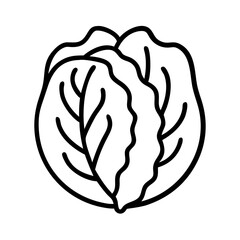Cabbage vegetable outline vector illustration, healthy food and fresh produce icon