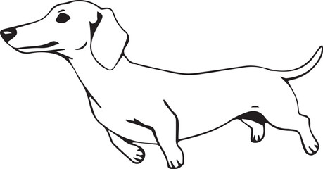 Dachshund Dog. Hand drawn vector illustration