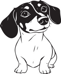 Dachshund Dog. Hand drawn vector illustration