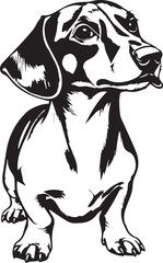 Dachshund Dog. Hand drawn vector illustration